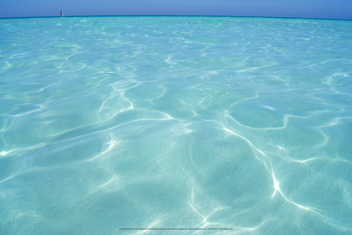 Q1-WACWE-12x18-PHO-03-11-985