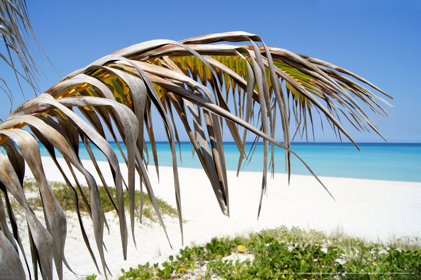 Q1-WACWE-12x18-PHO-03-11-b-117