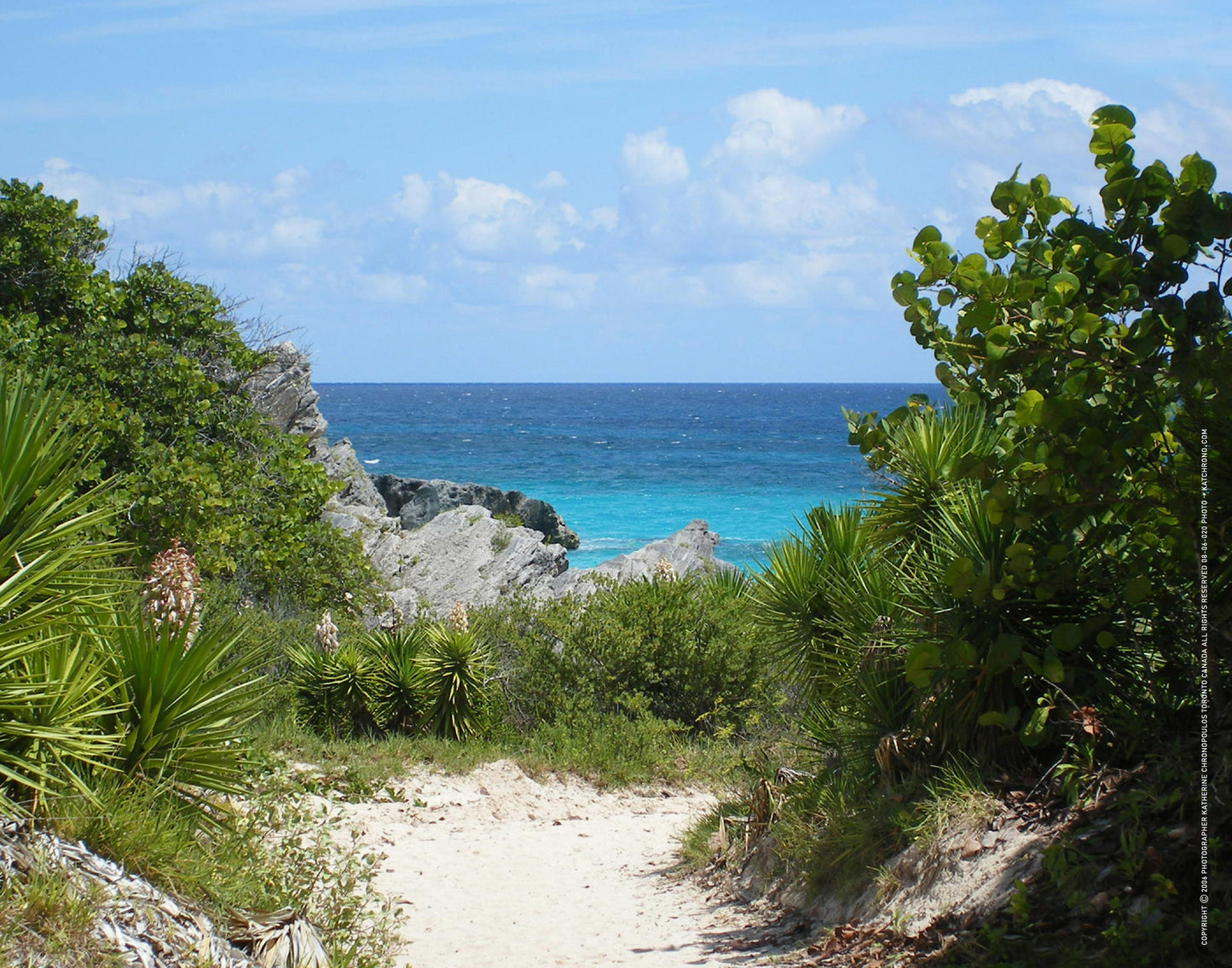 Q1-WACWE-11x14-PHO-08-06-020