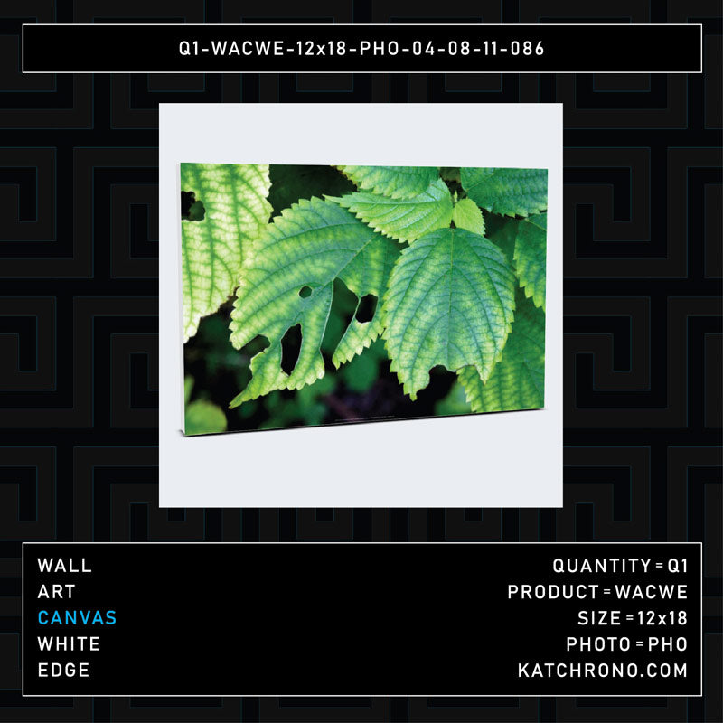 Q1-WACWE-12x18-PHO-04-08-11-086