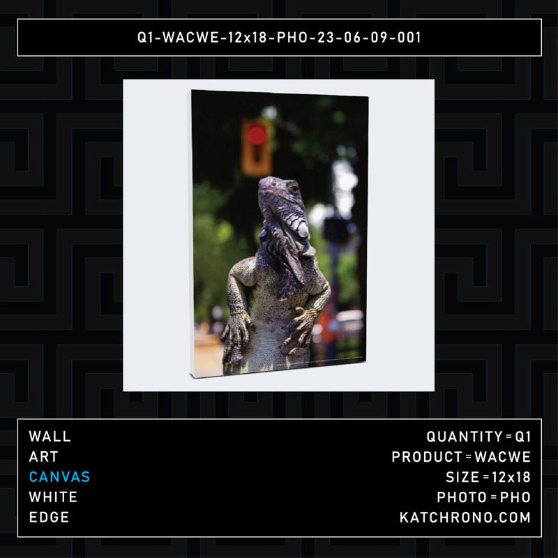 Q1-WACWE-12x18-PHO-23-06-09-001