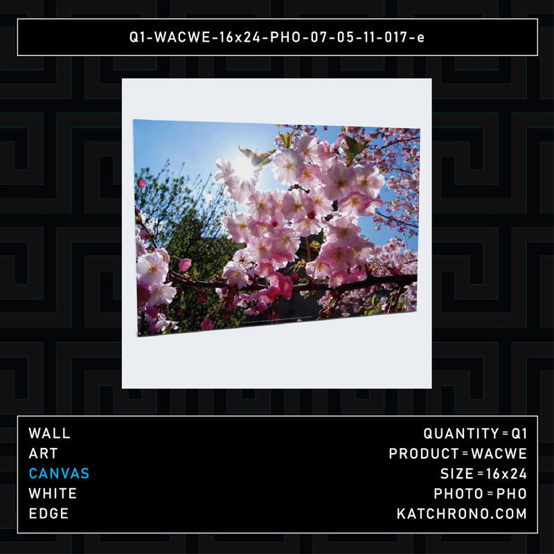 Q1-WACWE-16x24-PHO-07-05-11-017-e