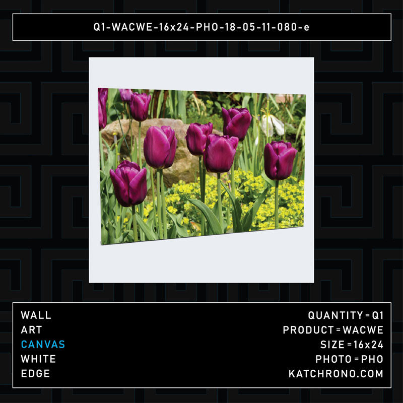 Q1-WACWE-16x24-PHO-18-05-11-080-e