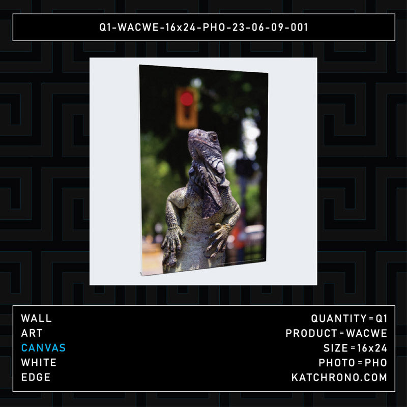 Q1-WACWE-16x24-PHO-23-06-09-001