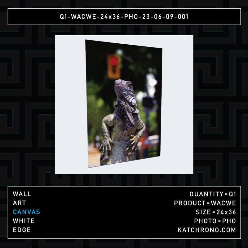 Q1-WACWE-24x36-PHO-23-06-09-001