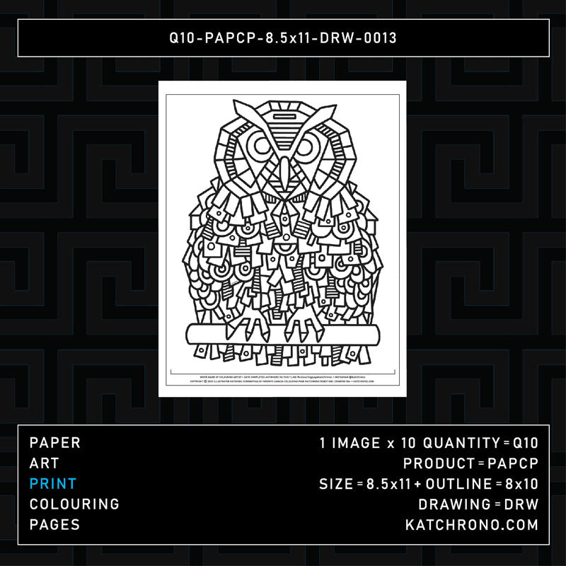 Q10-PAPCP-8.5x11-DRW-0013