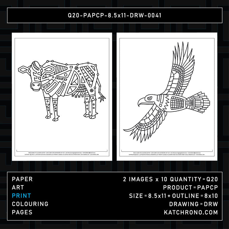 Q20-PAPCP-8.5x11-DRW-0041