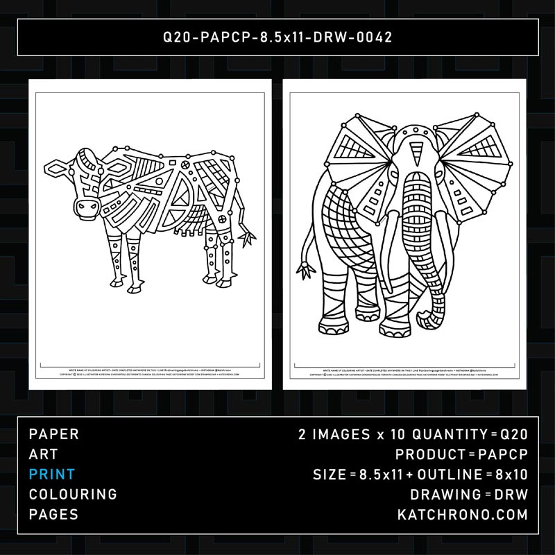 Q20-PAPCP-8.5x11-DRW-0042