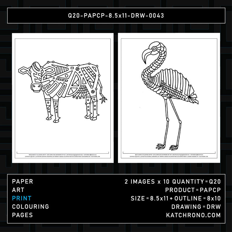 Q20-PAPCP-8.5x11-DRW-0043