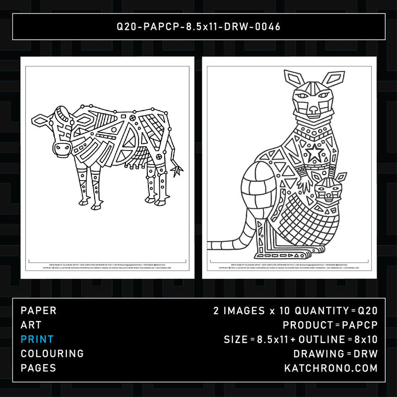 Q20-PAPCP-8.5x11-DRW-0046