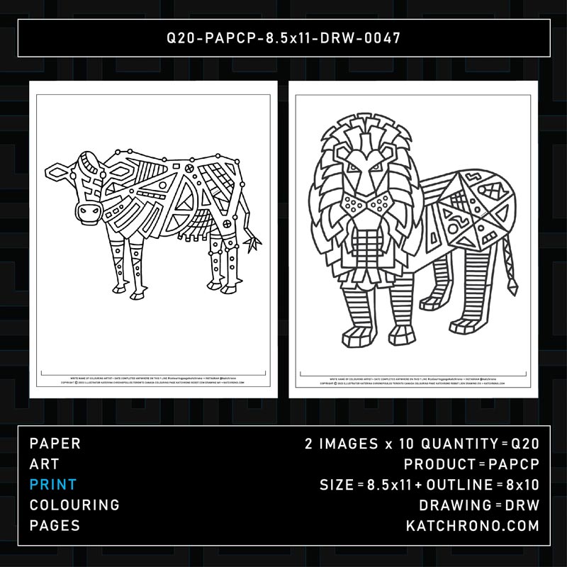 Q20-PAPCP-8.5x11-DRW-0047