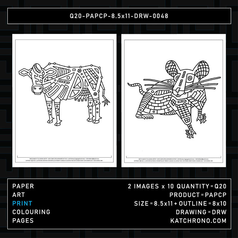 Q20-PAPCP-8.5x11-DRW-0048