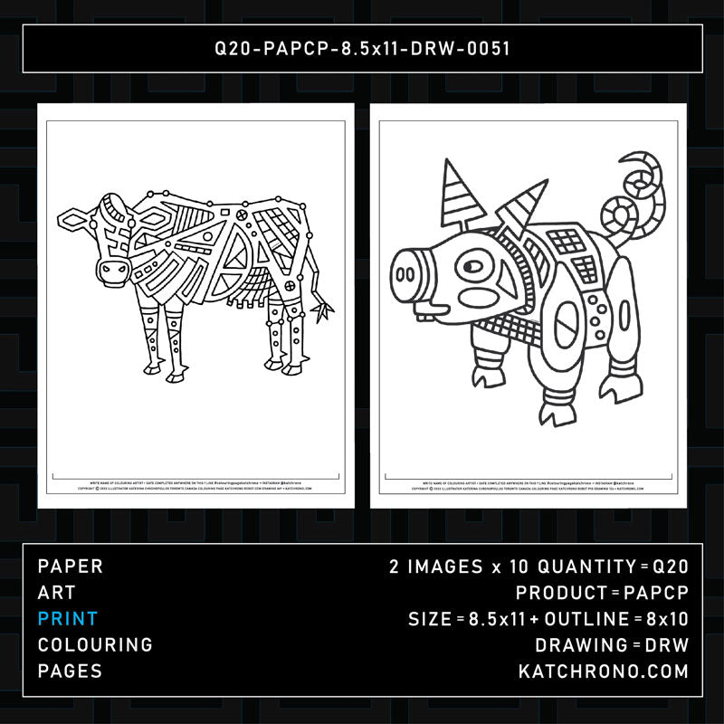 Q20-PAPCP-8.5x11-DRW-0051
