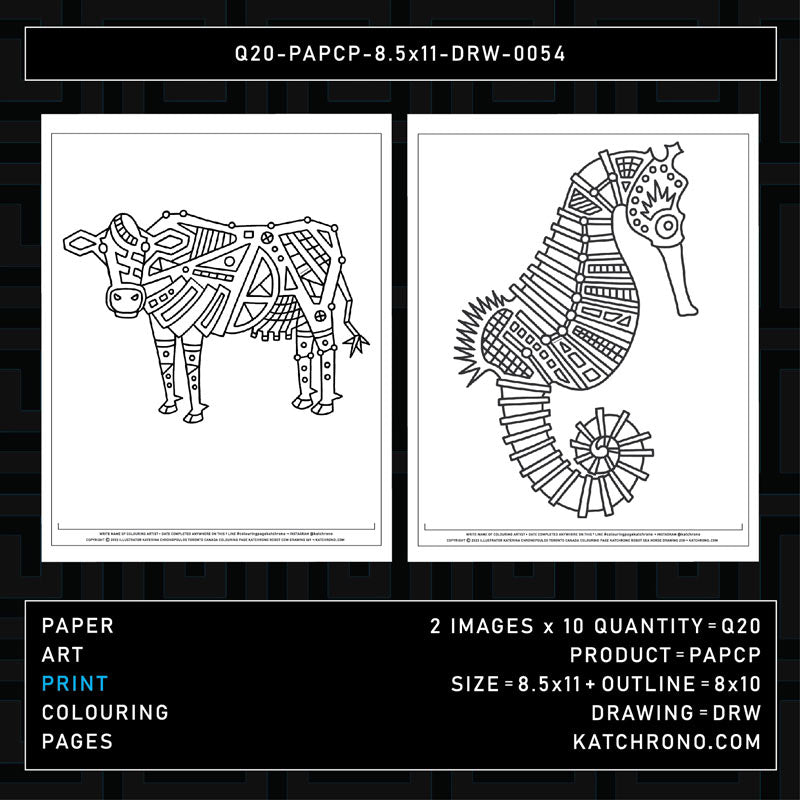 Q20-PAPCP-8.5x11-DRW-0054