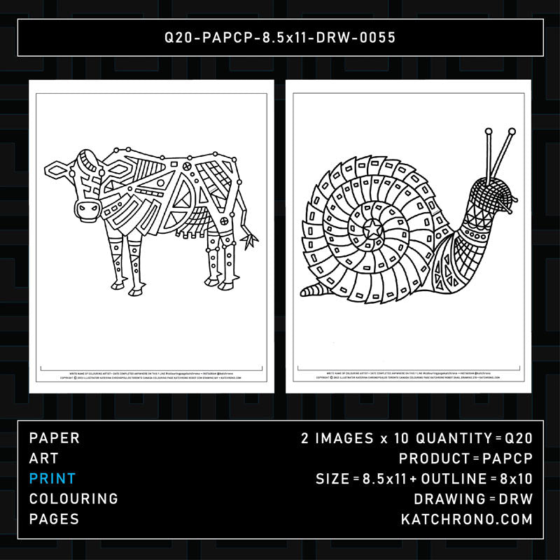 Q20-PAPCP-8.5x11-DRW-0055