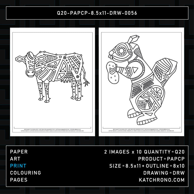 Q20-PAPCP-8.5x11-DRW-0056