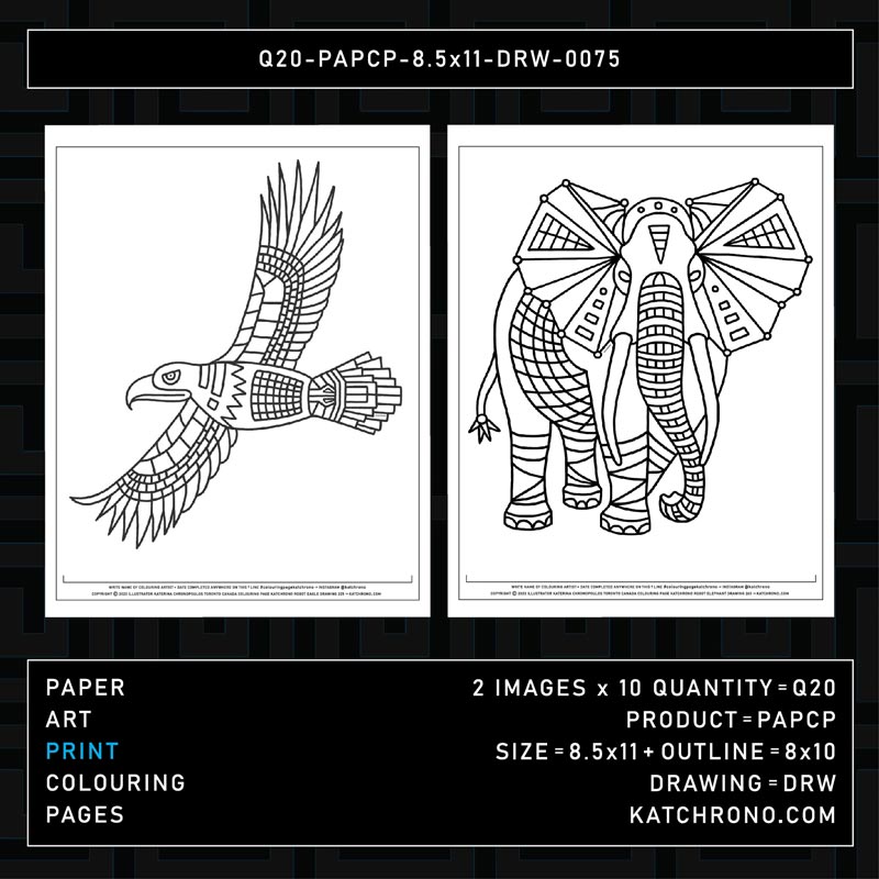 Q20-PAPCP-8.5x11-DRW-0075