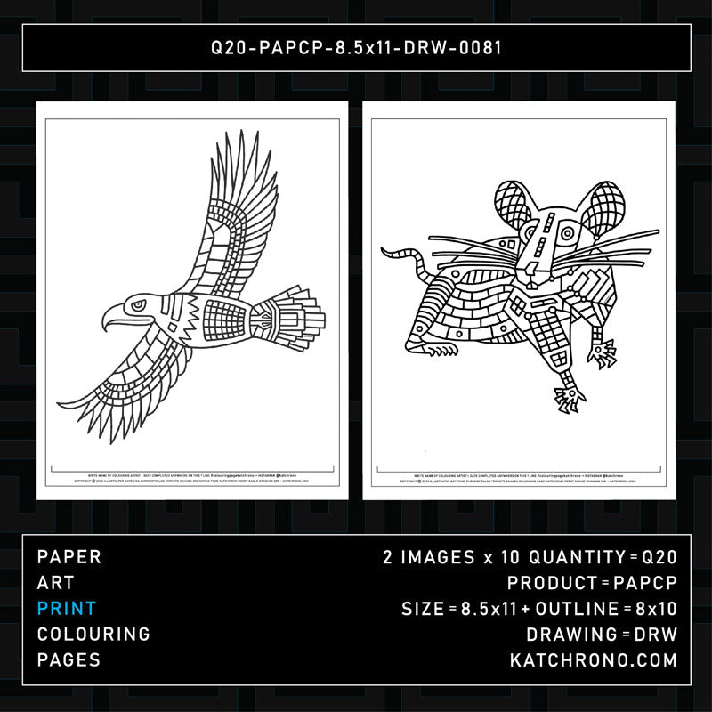 Q20-PAPCP-8.5x11-DRW-0081
