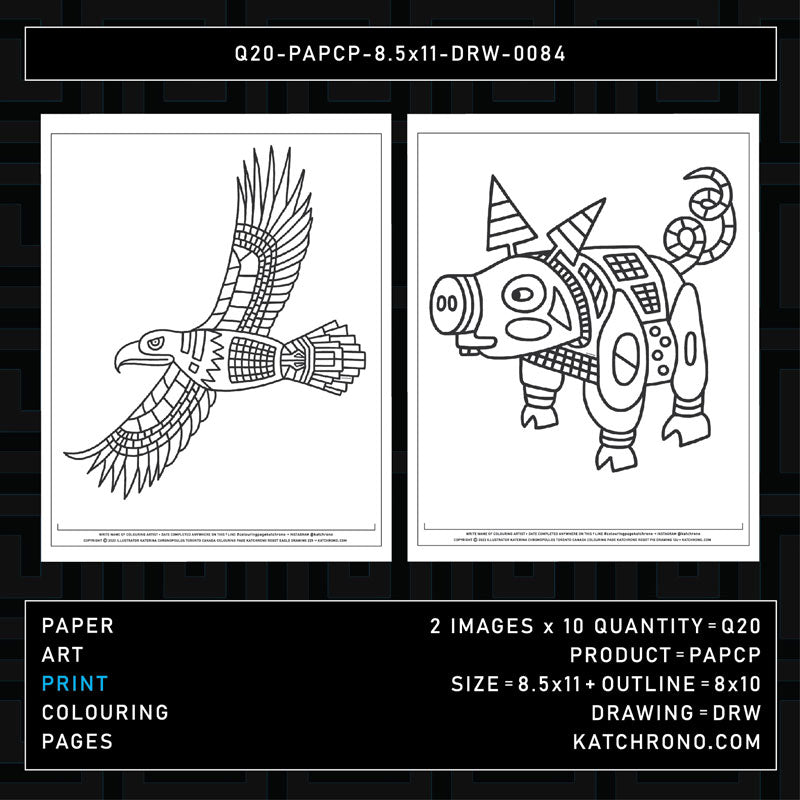 Q20-PAPCP-8.5x11-DRW-0084
