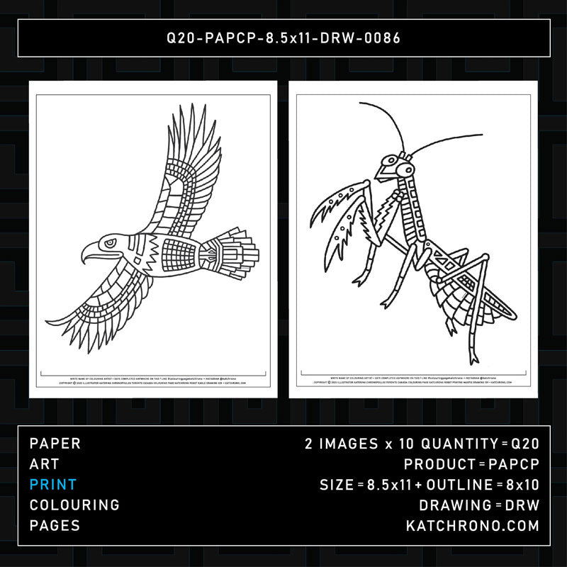 Q20-PAPCP-8.5x11-DRW-0086