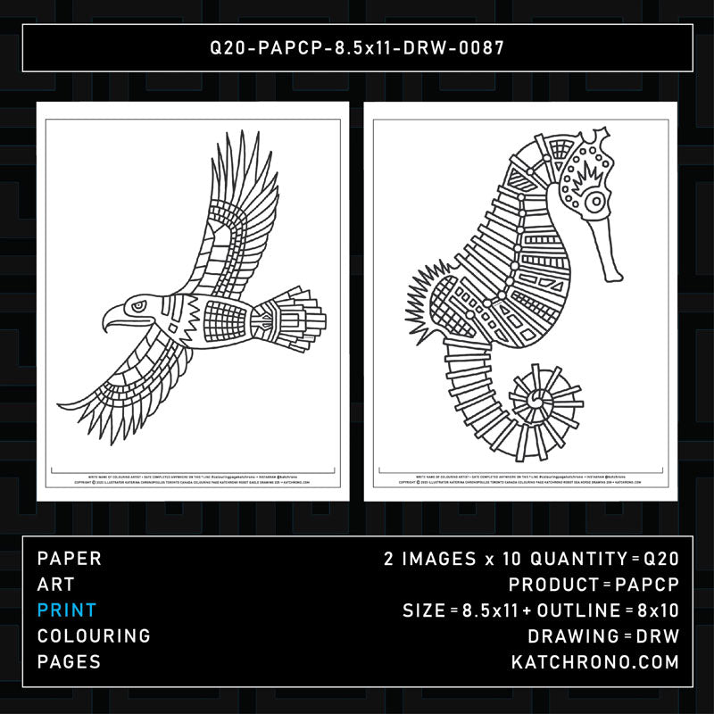 Q20-PAPCP-8.5x11-DRW-0087