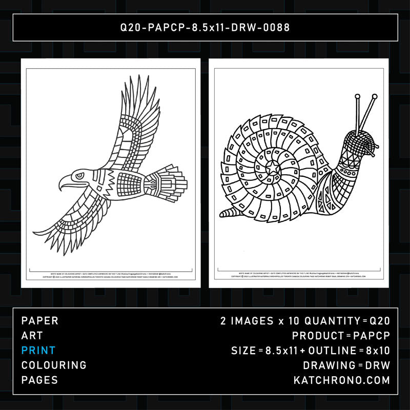 Q20-PAPCP-8.5x11-DRW-0088