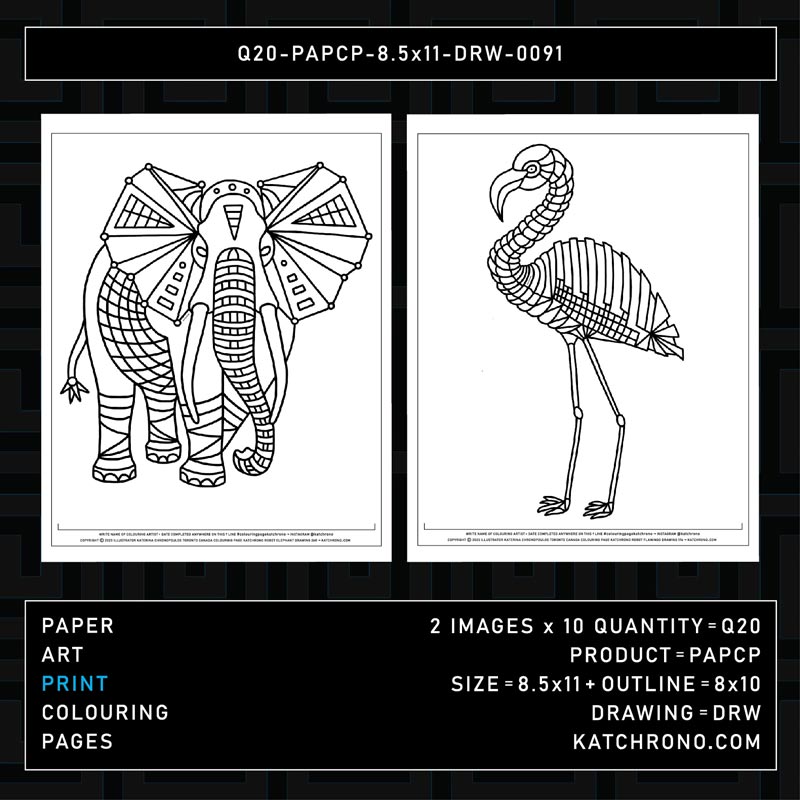 Q20-PAPCP-8.5x11-DRW-0091