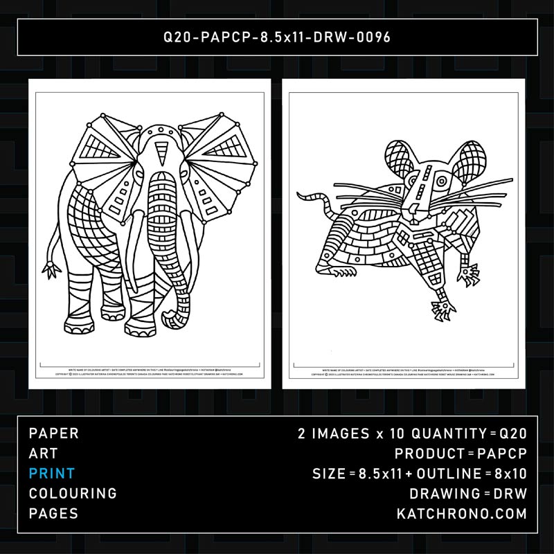 Q20-PAPCP-8.5x11-DRW-0096