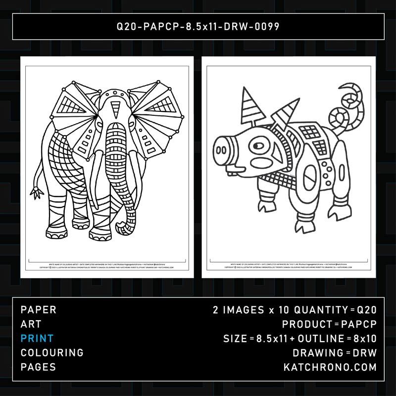 Q20-PAPCP-8.5x11-DRW-0099
