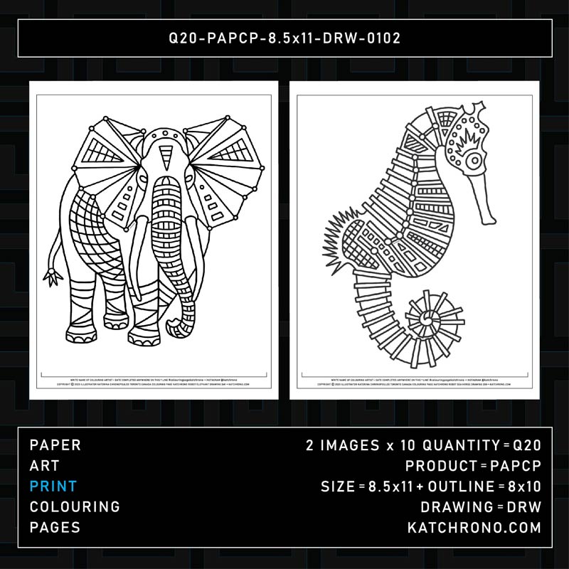 Q20-PAPCP-8.5x11-DRW-0102