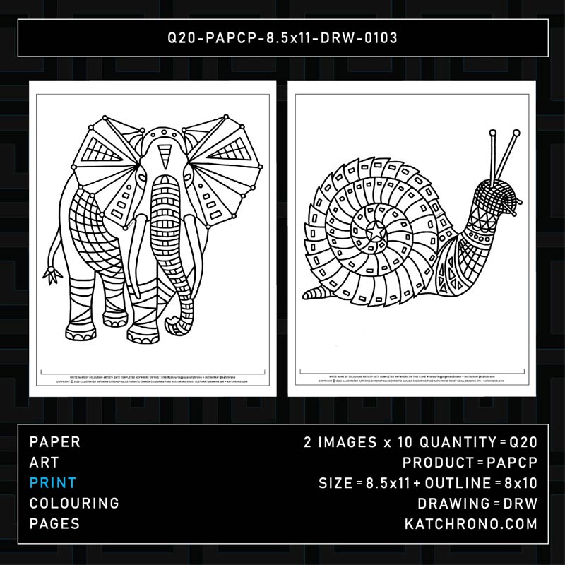 Q20-PAPCP-8.5x11-DRW-0103