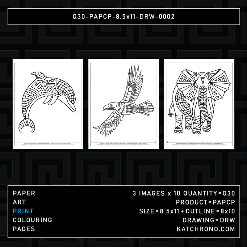 Q30-PAPCP-8.5x11-DRW-0002