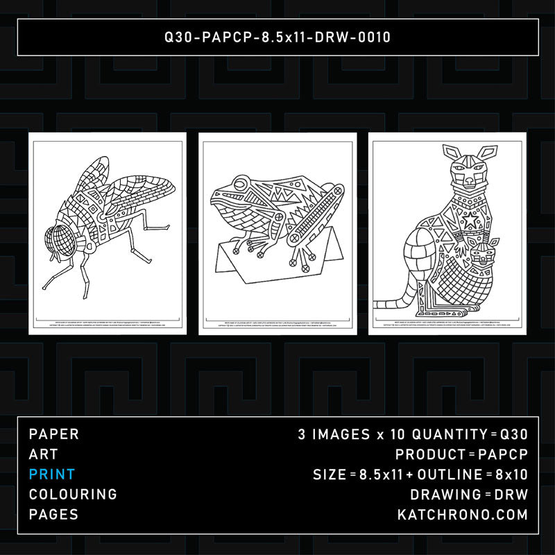 Q30-PAPCP-8.5x11-DRW-0010