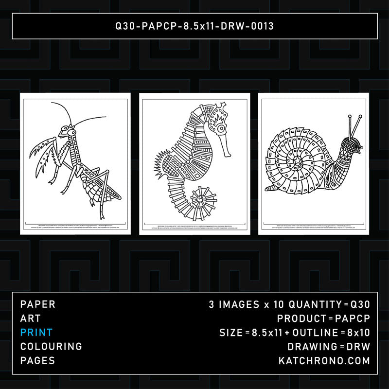 Q30-PAPCP-8.5x11-DRW-0013