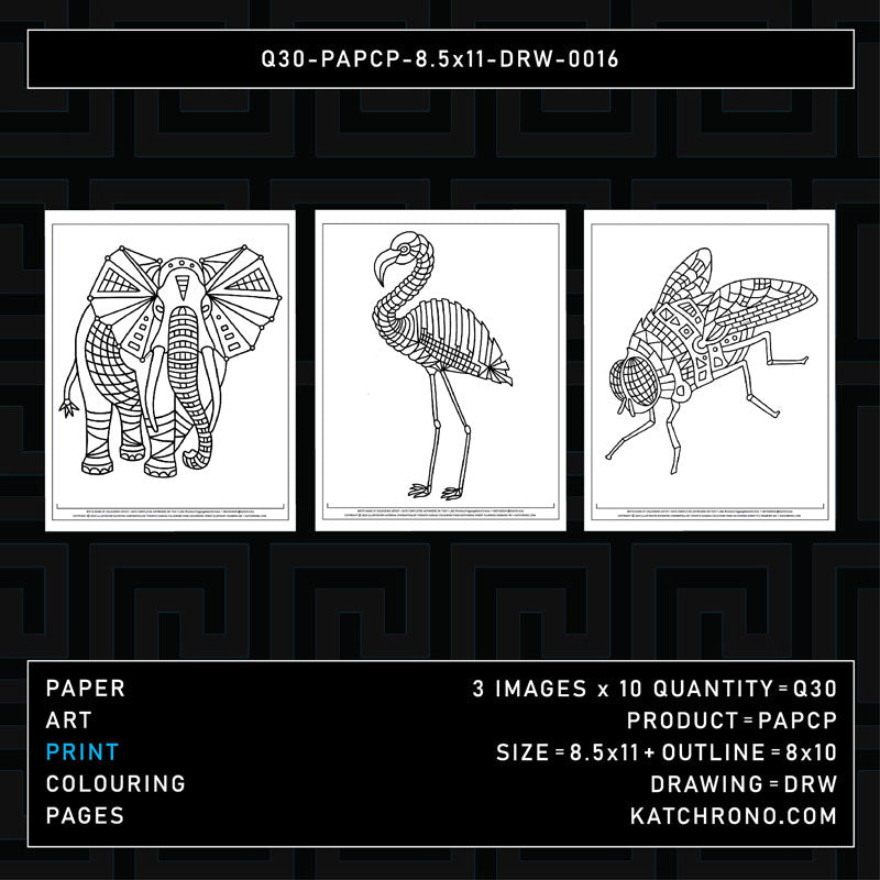 Q30-PAPCP-8.5x11-DRW-0016