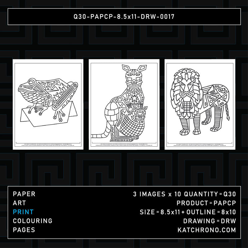 Q30-PAPCP-8.5x11-DRW-0017