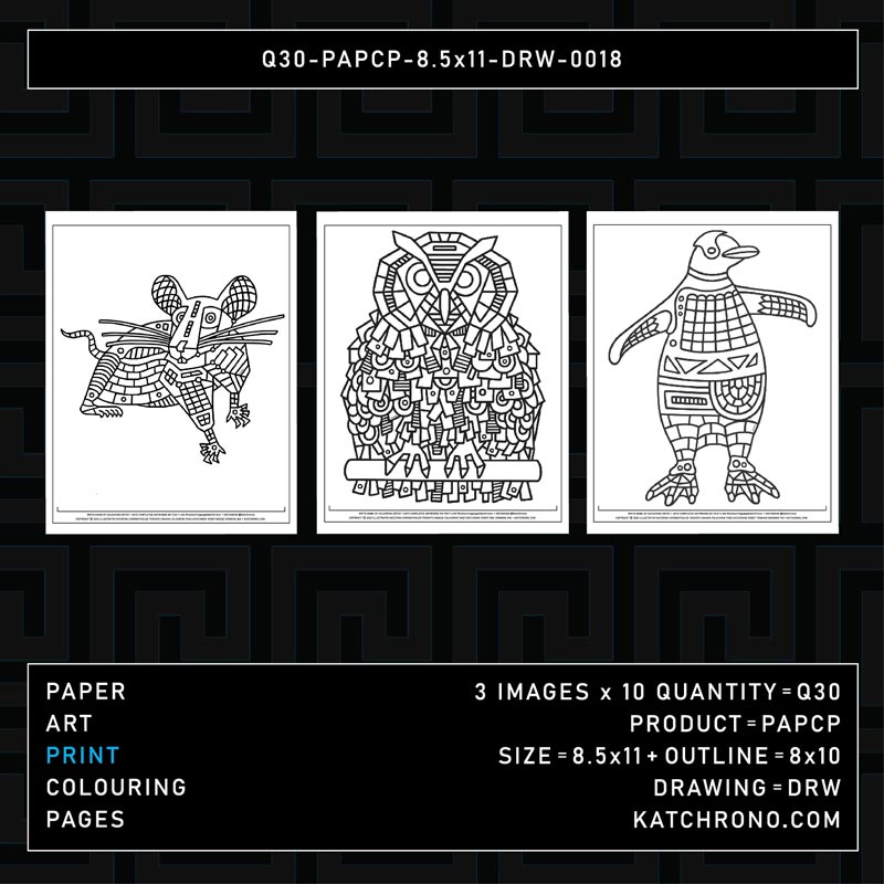 Q30-PAPCP-8.5x11-DRW-0018