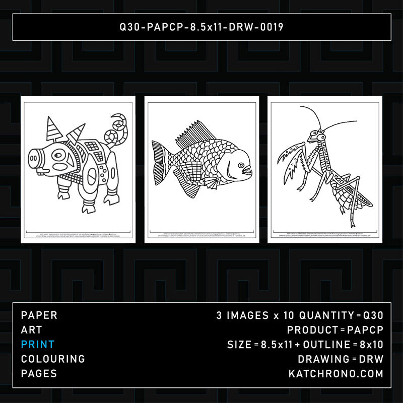 Q30-PAPCP-8.5x11-DRW-0019