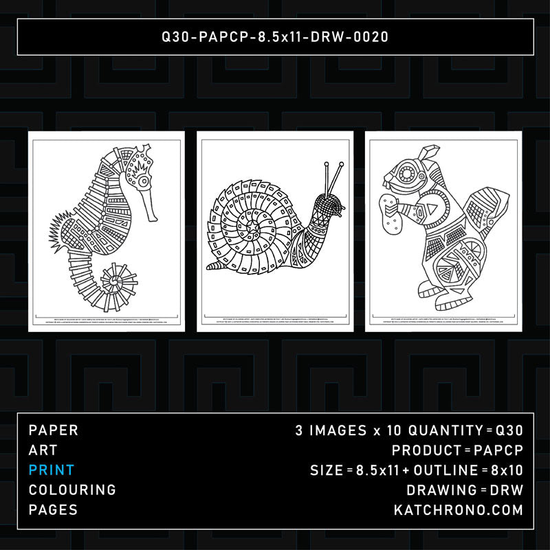 Q30-PAPCP-8.5x11-DRW-0020