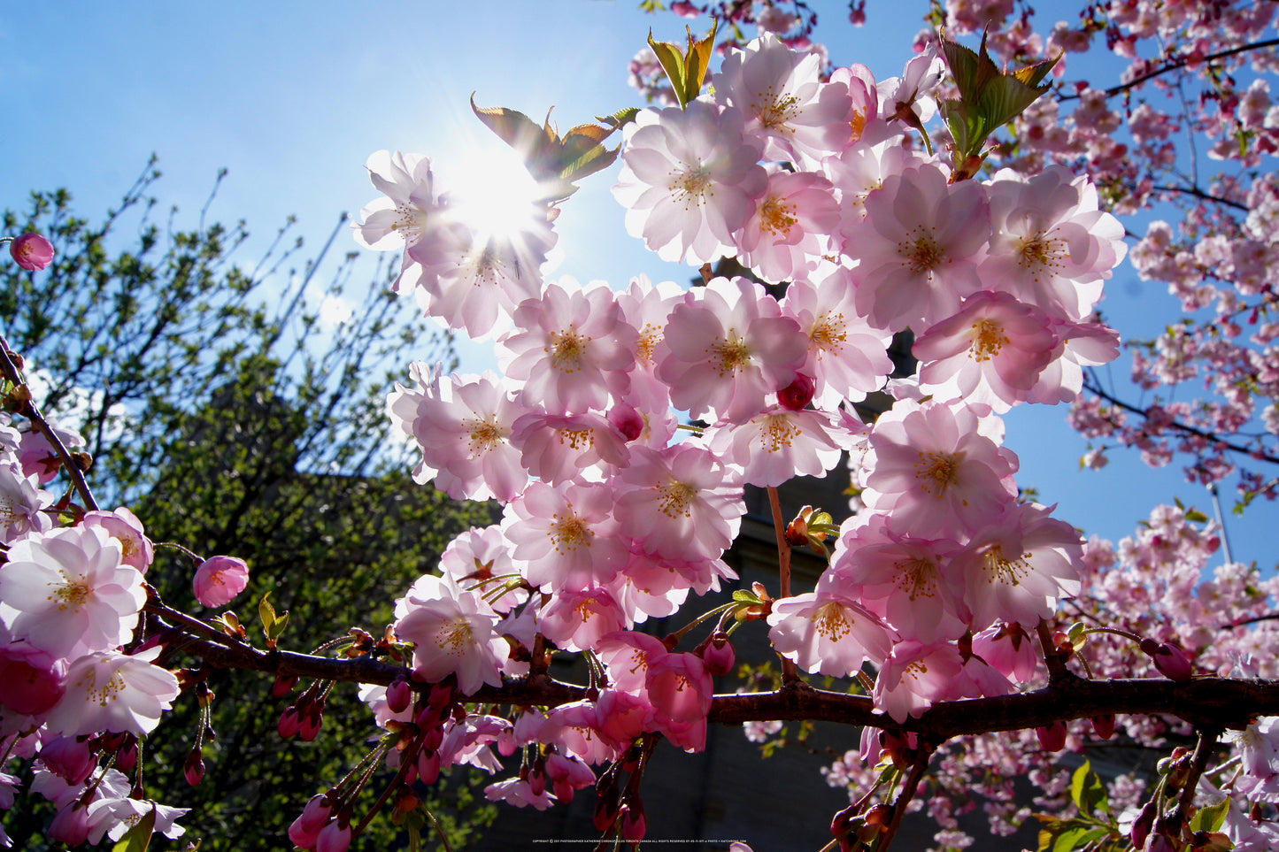 Q1-WACWE-24x36-PHO-07-05-11-017-e