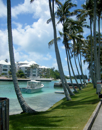 Q1-WACWE-11x14-PHO-07-08-022