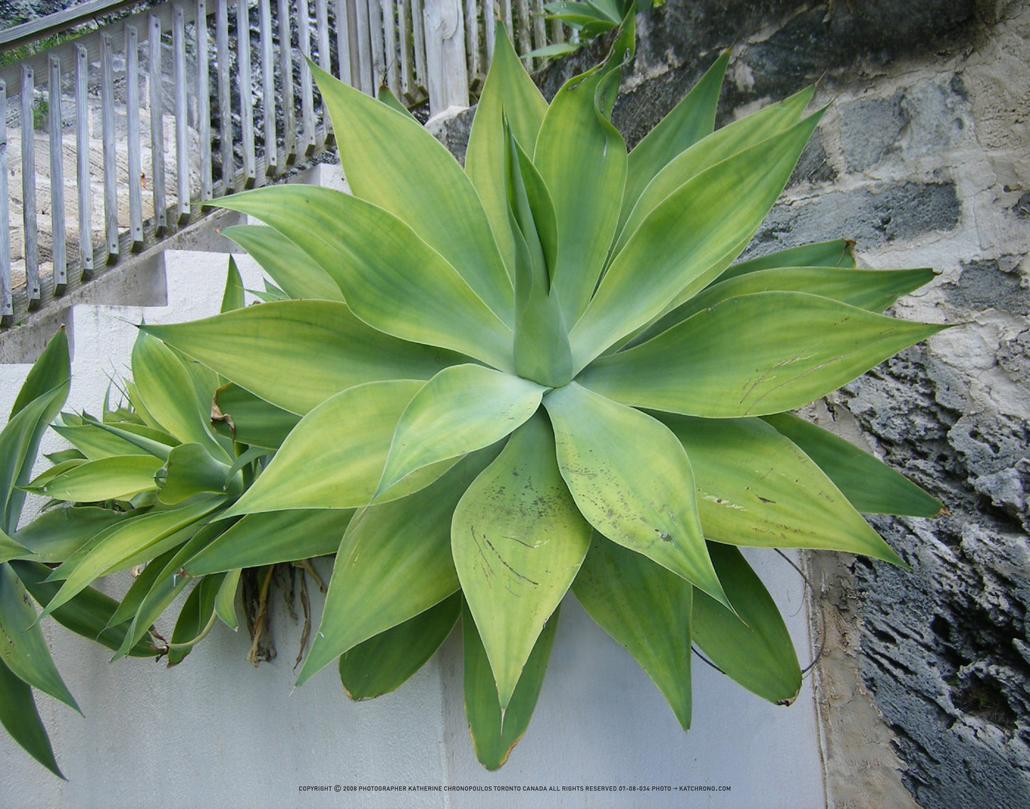 Q1-WACWE-11x14-PHO-07-08-034