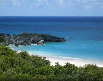 Q1-WACWE-11x14-PHO-08-06-019