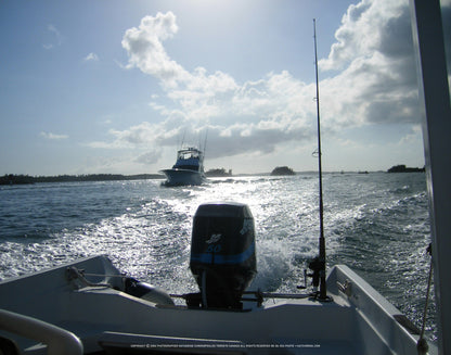 Q1-WACWE-11x14-PHO-08-06-024