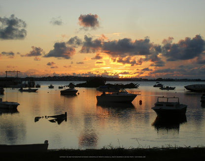 Q2-WACWE-11x14-PHO-007