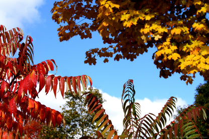 Q1-WACWE-24x36-PHO-16-10-12-295