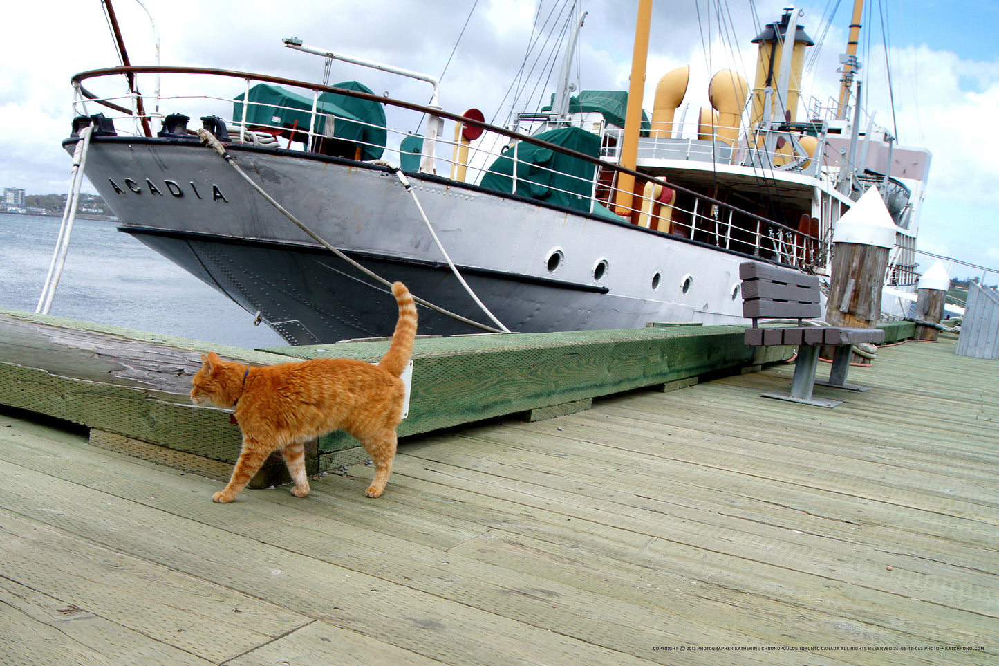 Q1-WACWE-12x18-PHO-26-05-13-063