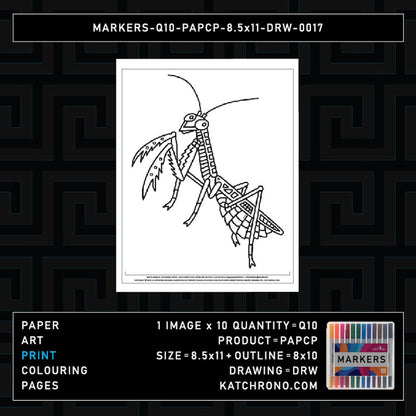 MARKERS-Q10-PAPCP-8.5x11-DRW-0017