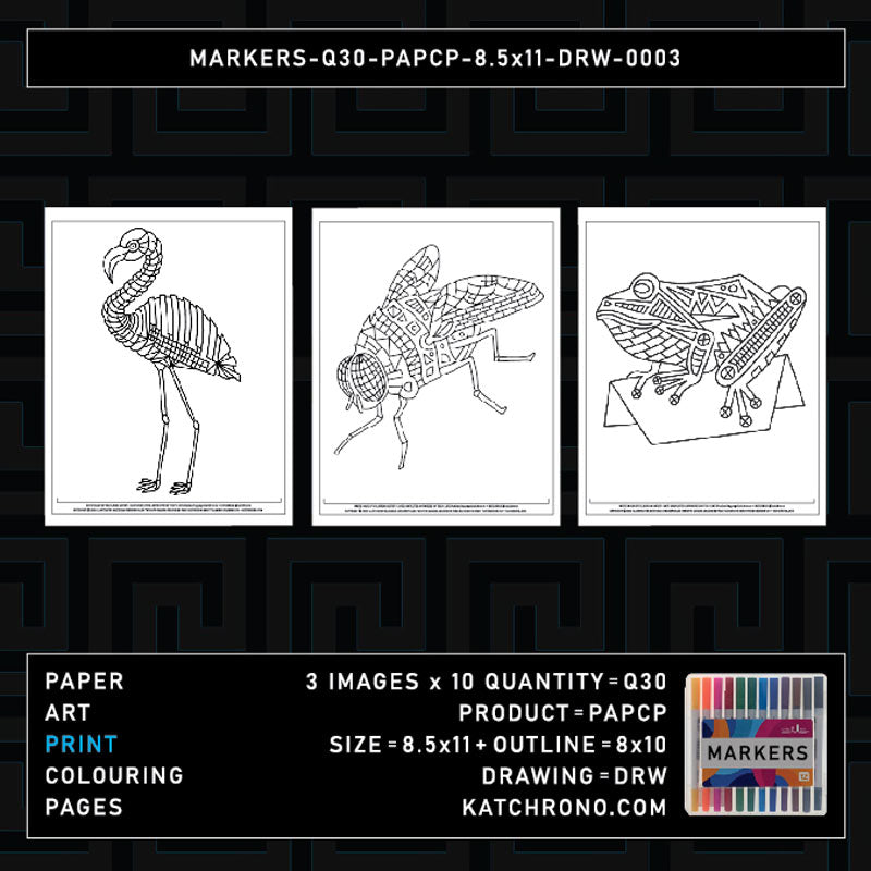 MARKERS-Q30-PAPCP-8.5x11-DRW-0003
