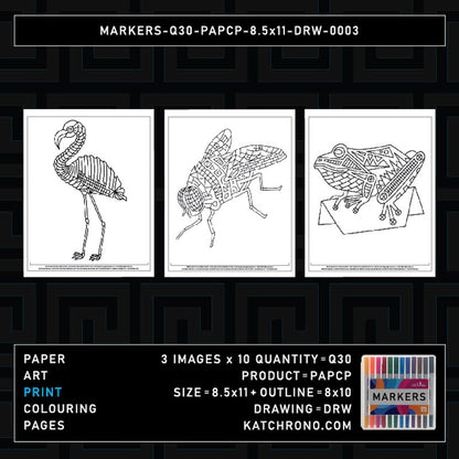 MARKERS-Q30-PAPCP-8.5x11-DRW-0003